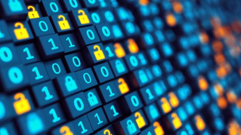 勉县软件定制：数据管理效能的核心密钥